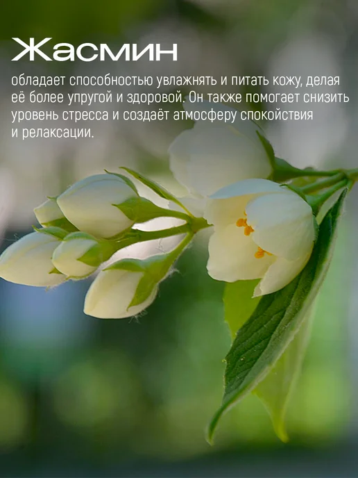SOLO с большой любовью Чайный пакетик для ванны "Жасминовый Апельсин", вариант, фото 7