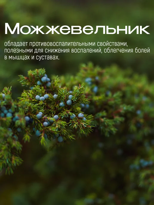 SOLO с большой любовью Чайный пакетик для ванны "Можжевеловый дым", вариант, фото 7