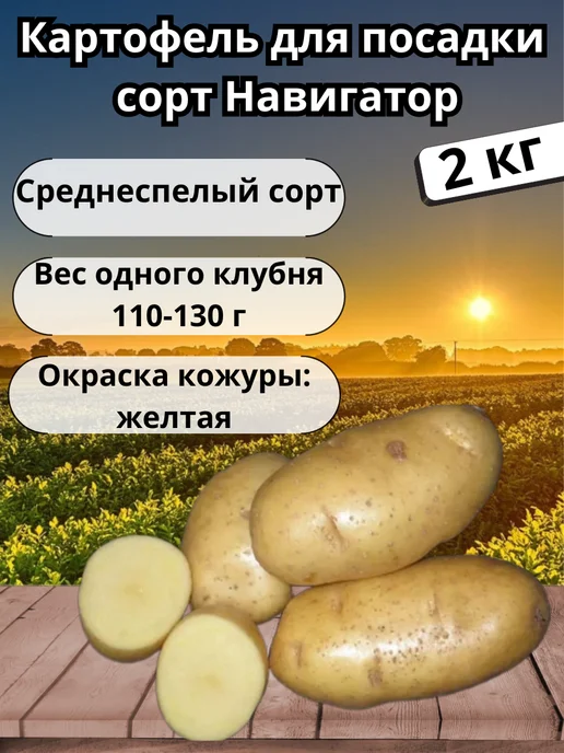 ОгородNIK Картофель семенной " Навигатор" 2 кг, 2 кг