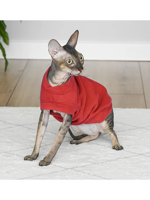 PetShop Жилет для кошек "Моди", L Tappi, красный, фото 3