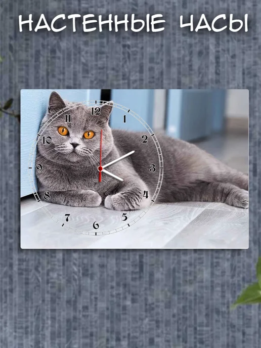 Hilari Часы настенные Котик, вариант