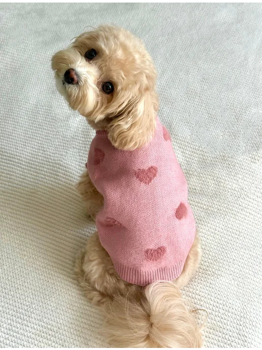 Pawsy Одежда для собак кошек мелких пород, свитер для собак, розовый