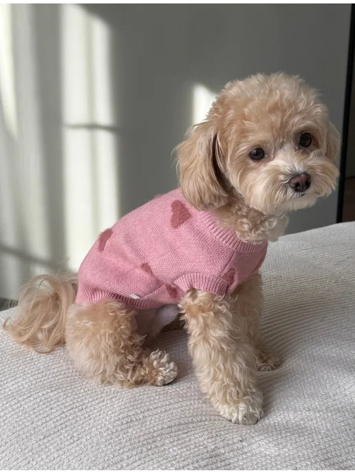 Pawsy Одежда для собак кошек мелких пород, свитер для собак, розовый, фото 5