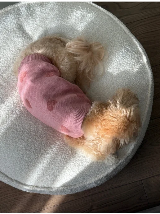 Pawsy Одежда для собак кошек мелких пород, свитер для собак, розовый, фото 6