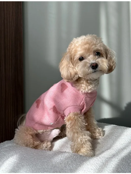 Pawsy Одежда для собак кошек мелких пород, свитер для собак, розовый, фото 7