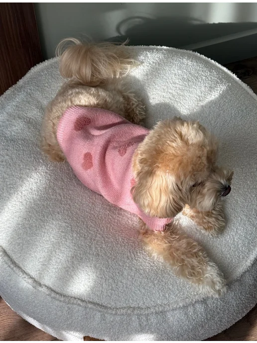 Pawsy Одежда для собак кошек мелких пород, свитер для собак, розовый, фото 8