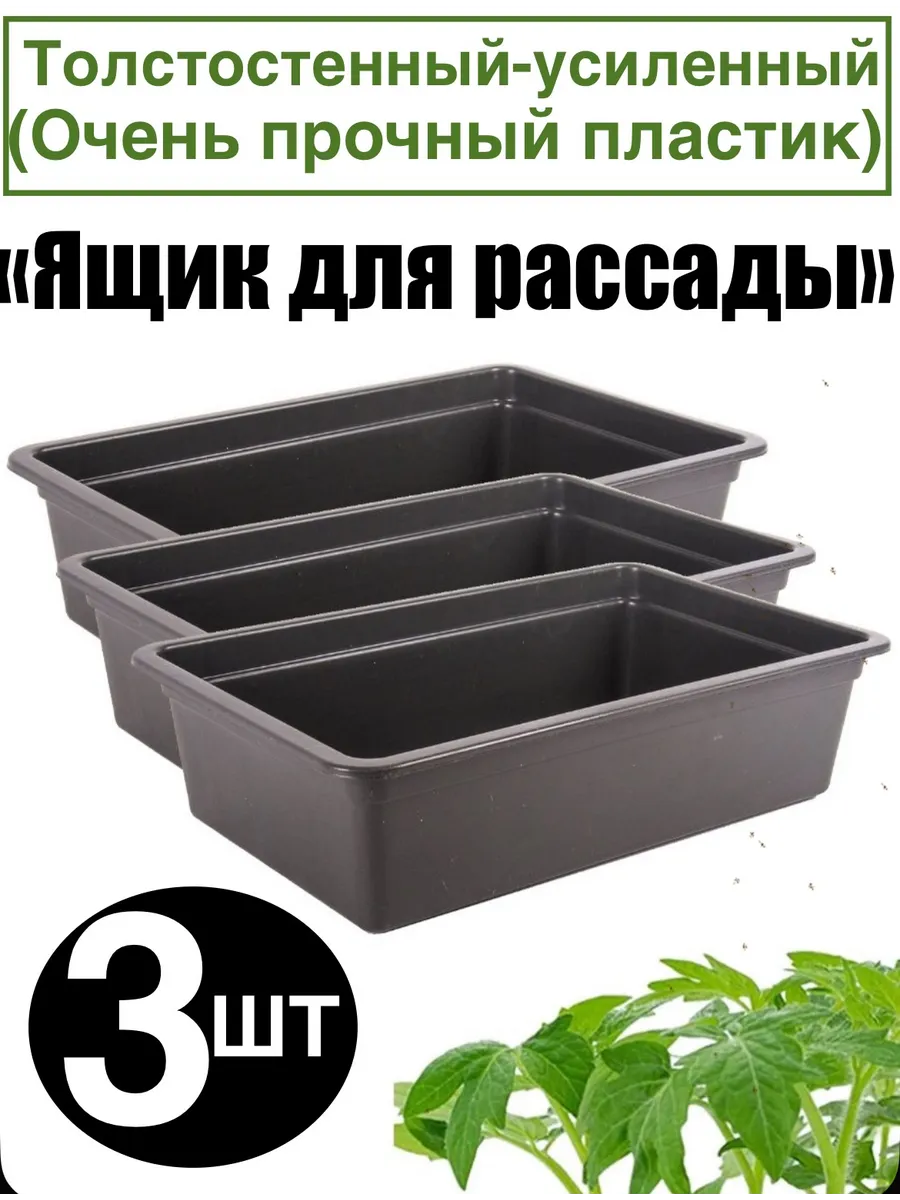 Ящик для рассады