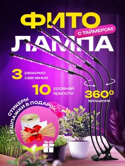 Фитолампа для растений Frostella 307656506 купить за 1 071 ₽ в интернет-магазине Wildberries