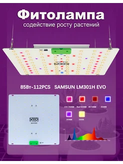 LM301H EVO фитолампа растений и рассады quantum board 85 вт YXO 307677890 купить за 4 360 ₽ в интернет-магазине Wildberries