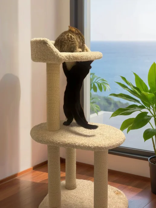 Моя Котя Когтеточка для кошки, белый, фото 2