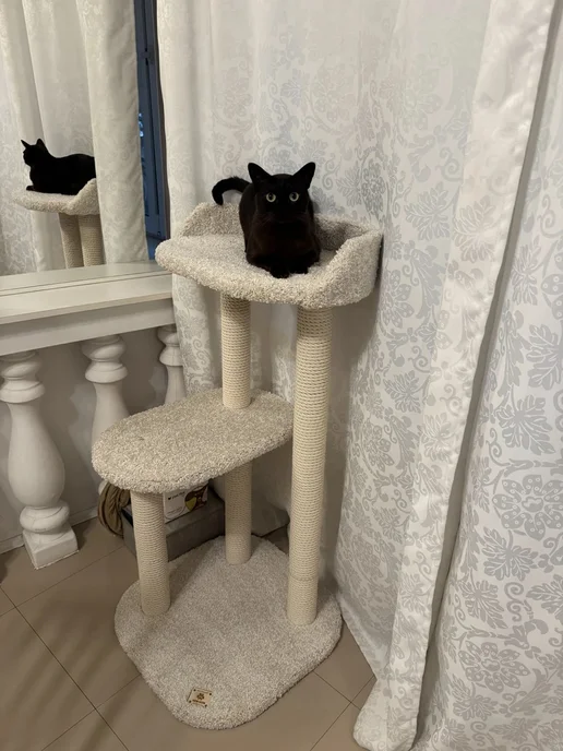 Моя Котя Когтеточка для кошки, белый, фото 4