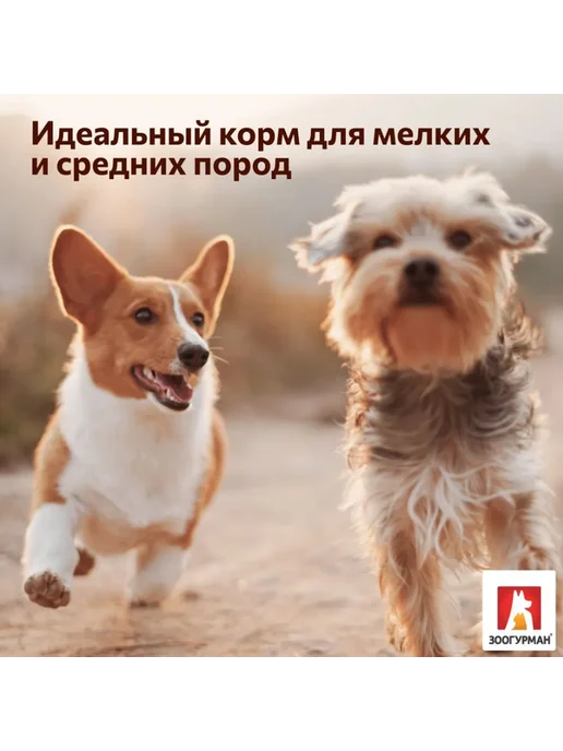Сухой корм ЗООГУРМАН Supreme для собак, мелкие, средние, телятина, 10 кг, фото 8