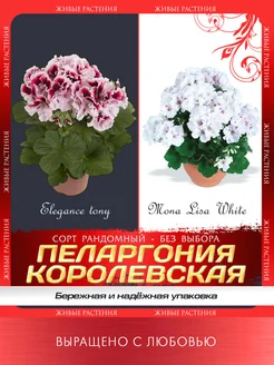 Интернет-магазин Wildberries: широкий ассортимент товаров - скидки каждый день!