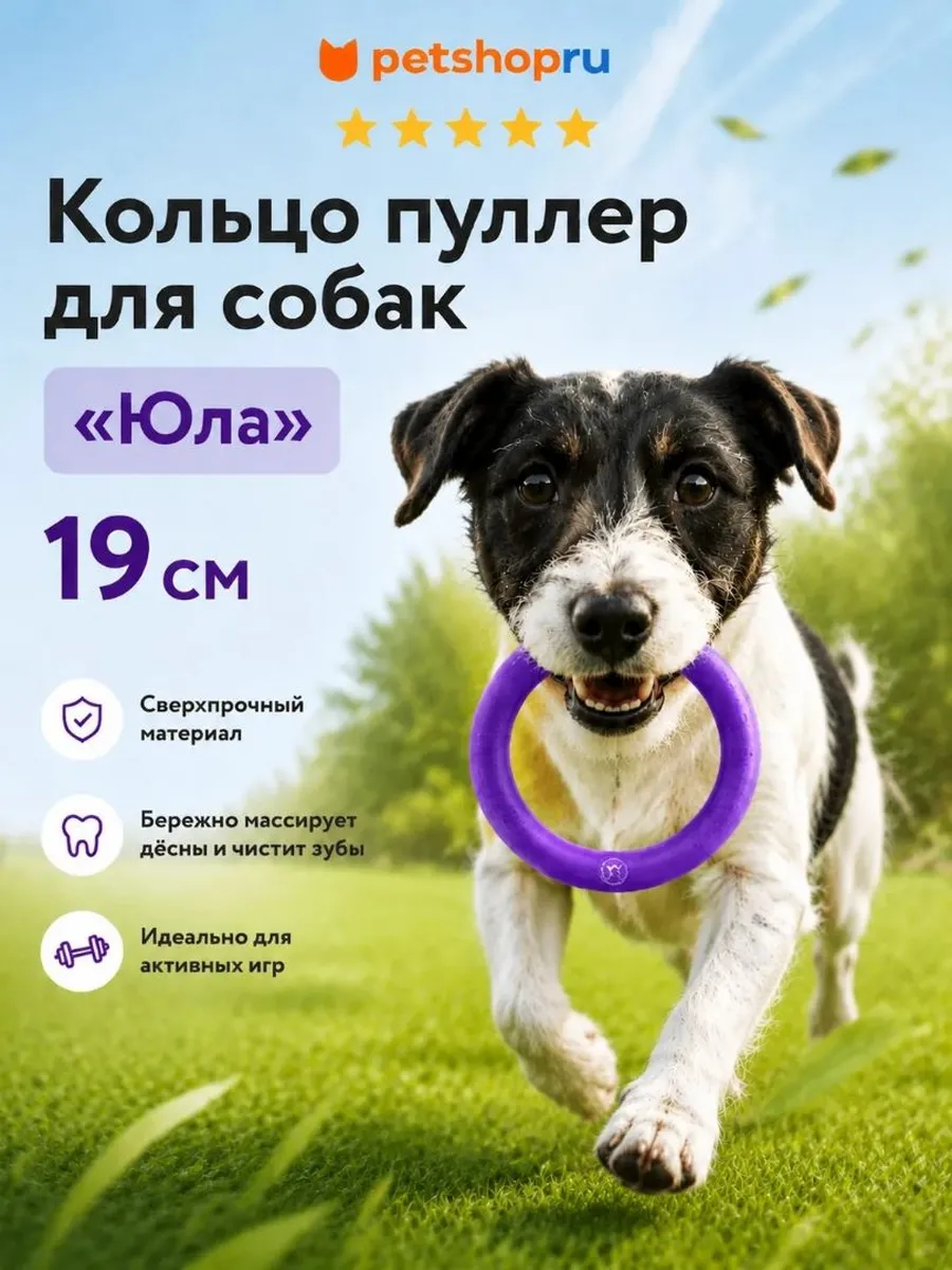 Кольцо пуллер для собак "Юла", 19 см