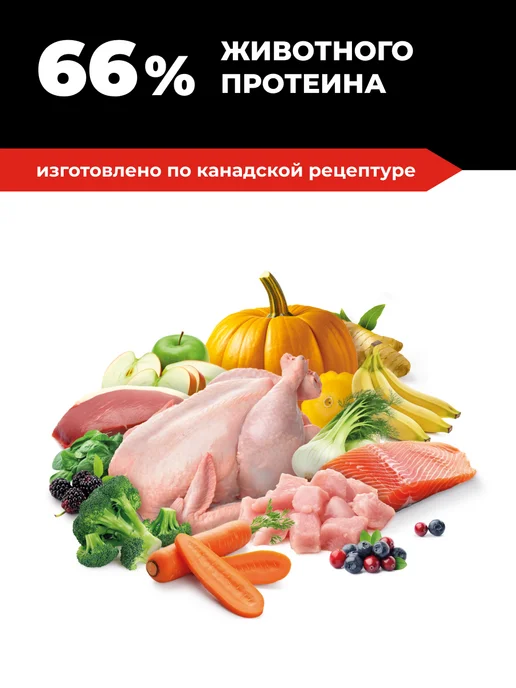 Сухой корм GO'KITCHEN Вида для собак, беззерновой, мясо, 0,4 кг, фото 7