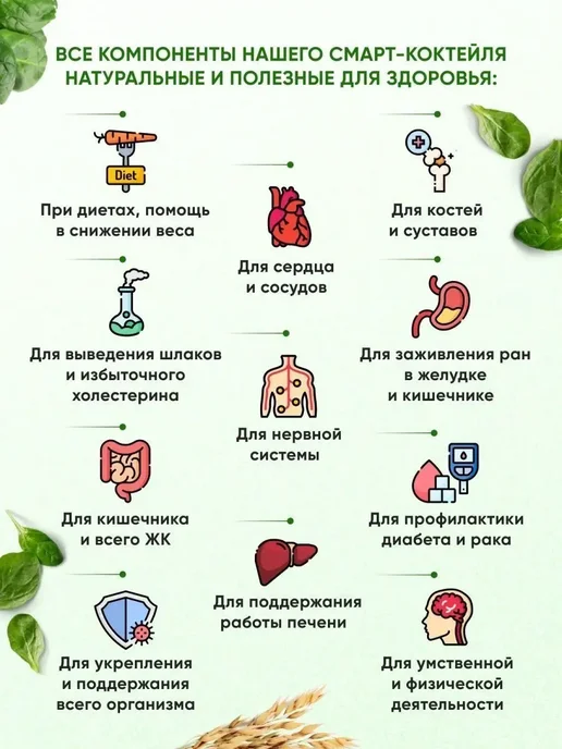 Родник Здоровья Овсяный смарт-коктейль для похудения, детокс, вариант, фото 2