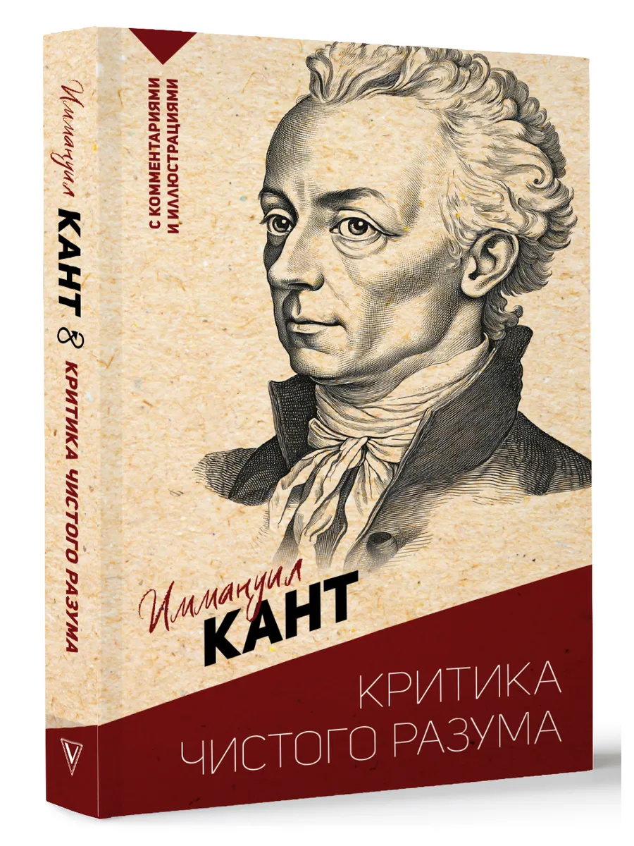 Критика чистого разума. С комментариями и иллюстрациями
