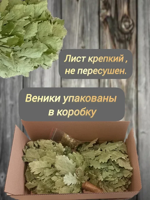 Пара в баню Веники для бани дубовые 10 штук,свежий сбор 2026, 10 шт, фото 5