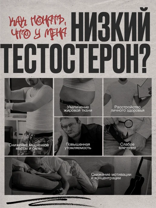 VIS MEDICUS PHARM Тестостерон для мужчин для спорта, вариант, фото 2