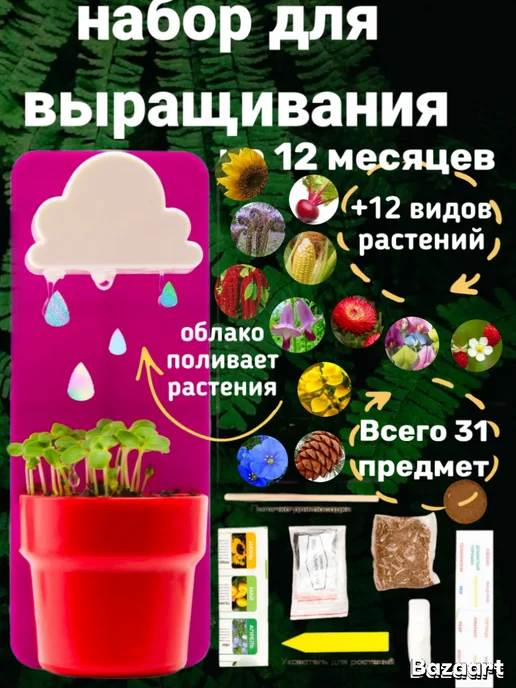без бренда Подарочный набор вырасти живое растение в горшке с семенами, вариант