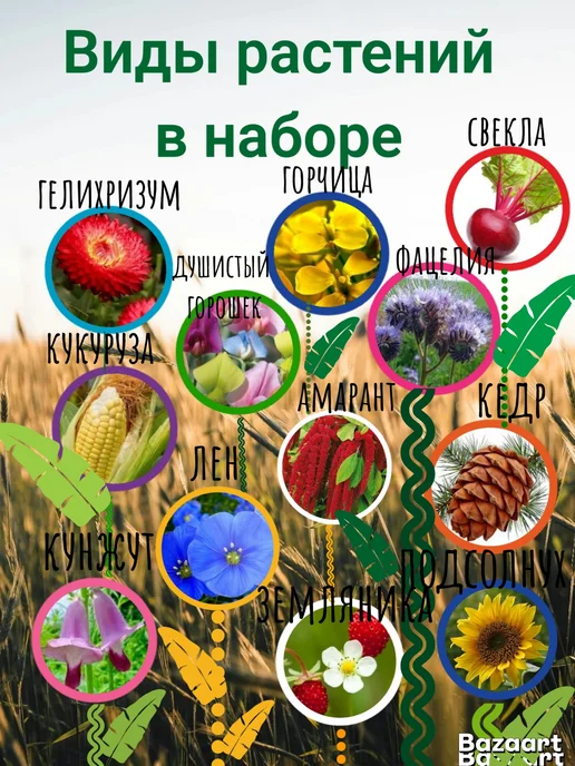 без бренда Подарочный набор вырасти живое растение в горшке с семенами, вариант, фото 2