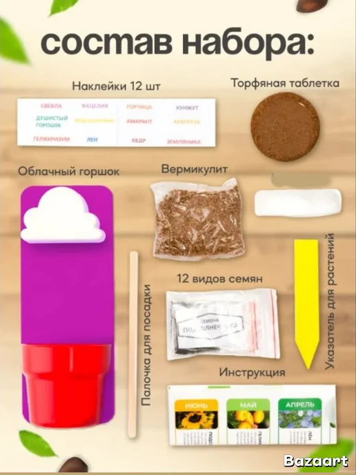 без бренда Подарочный набор вырасти живое растение в горшке с семенами, вариант, фото 3
