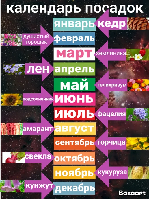 без бренда Подарочный набор вырасти живое растение в горшке с семенами, вариант, фото 4