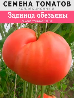 Семена Томата Задница обезьяны 10 шт Крутово 309316174 купить за 201 ₽ в интернет-магазине Wildberries