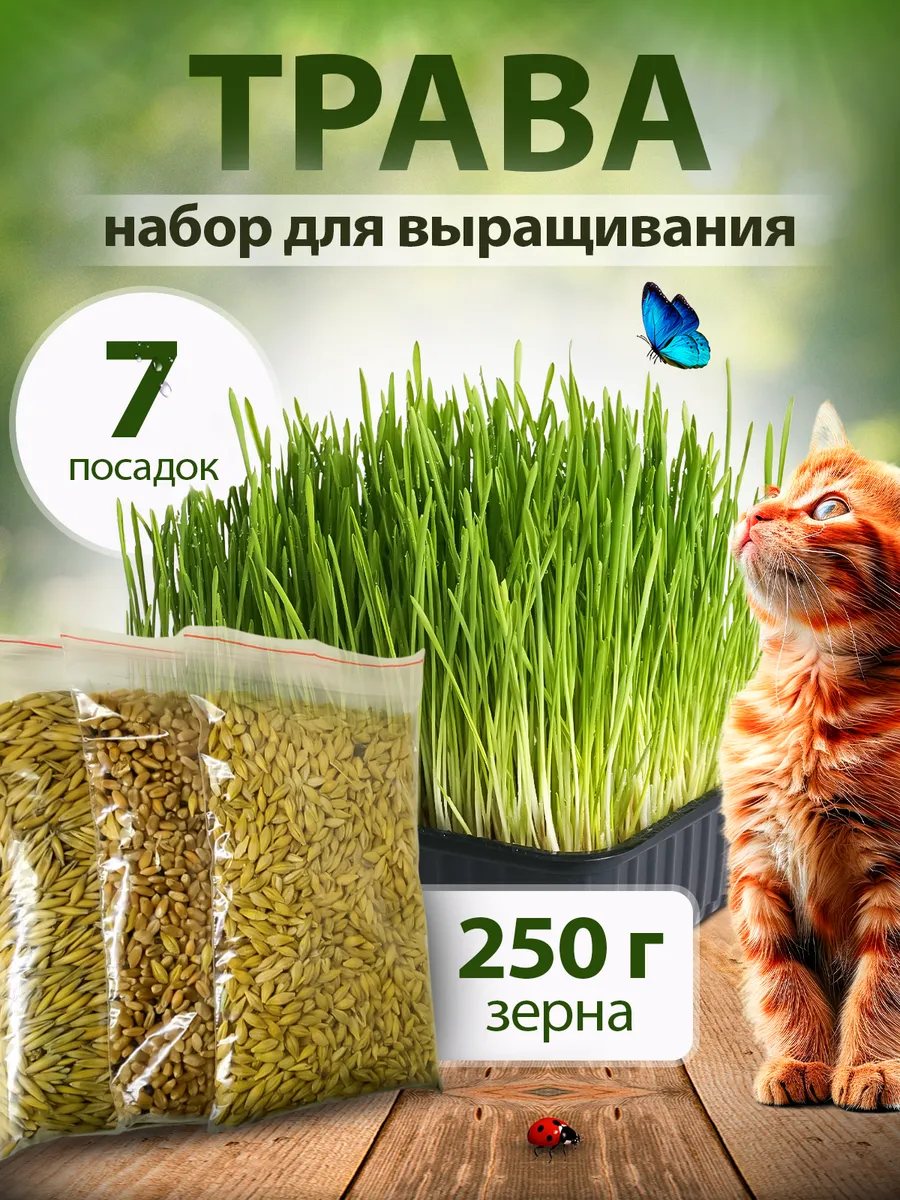 Трава для кошек. Набор для выращивания