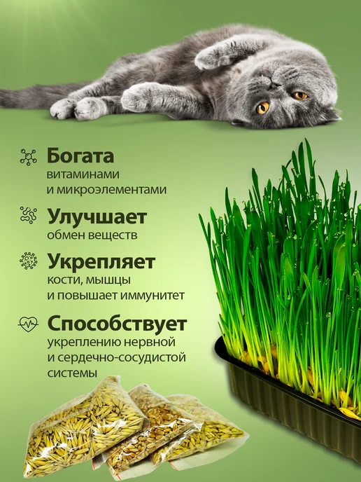 Здесь про заботу Трава для кошек. Набор для выращивания, вариант, фото 2