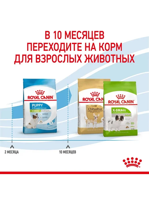 Сухой корм Royal Canin. для собак, мелкие, щенки, 0,5 кг, фото 7