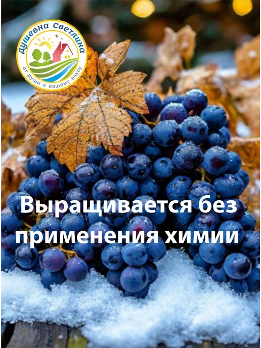 Душевна Светлина Виноградный уксус натуральный, светлый, фото 6