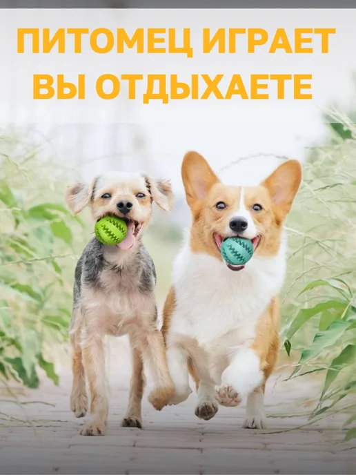 мяч игрушка для собак розовый, синий, фото 6