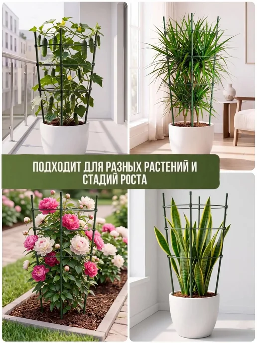 Опора для растений 60см поддержка подпорка кустодержатель, вариант, фото 2