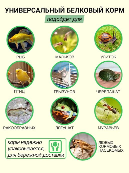 Futter Набор белкового корма дафния и гаммарус измельченный, 2 шт, фото 4