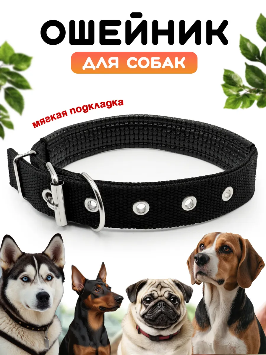 Ошейник для собак мелких, средних и крупных пород нейлоновый