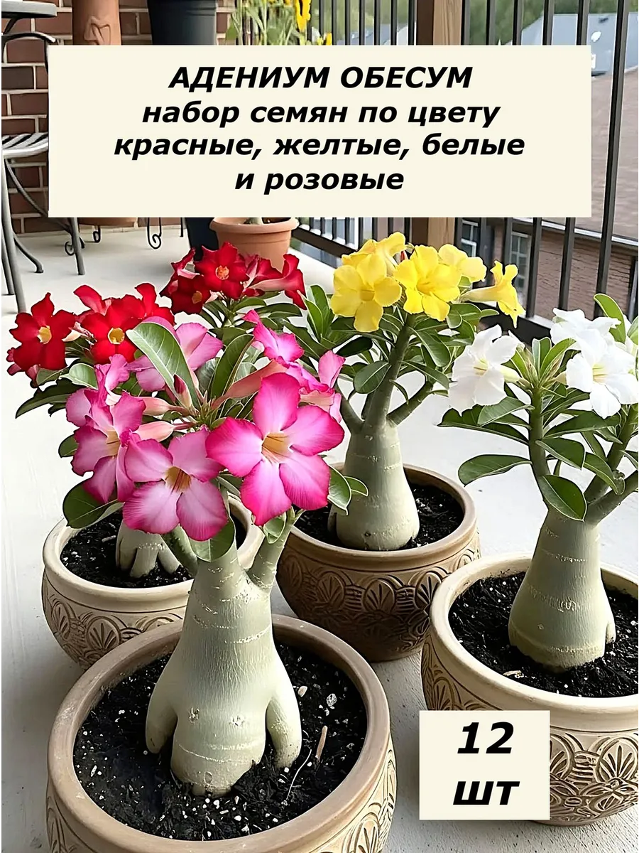 Адениум обесум семена по цвету