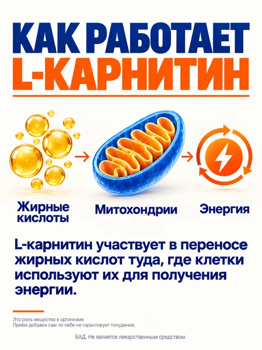 SportFarm laboratory L карнитин жидкий спортивный, вариант, фото 2