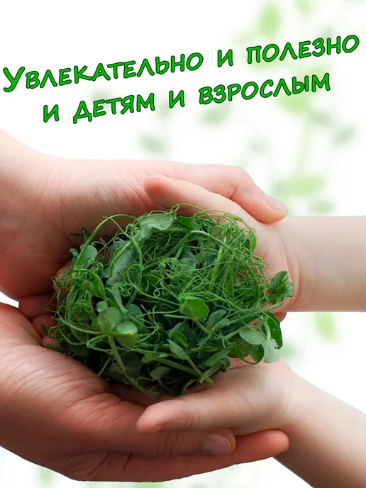 сёМа Набор микрозелени для выращивания "МикроВита", 3 шт, фото 3