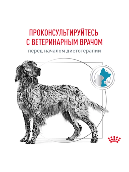Сухой корм Royal Canin. Ветеринарная Диета для собак, 14 кг, фото 7