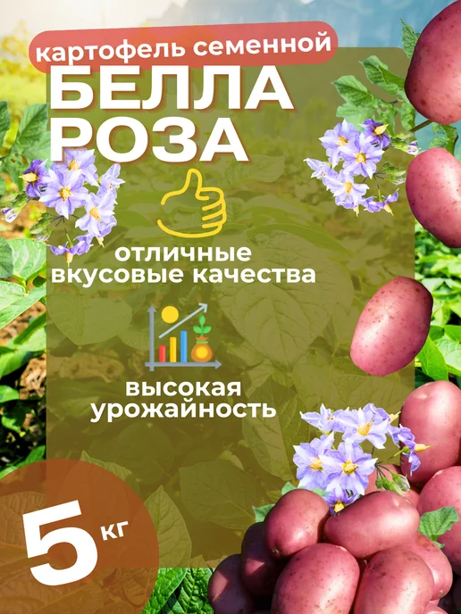 Картофель семенной Беллароза 5 кг, 5 кг