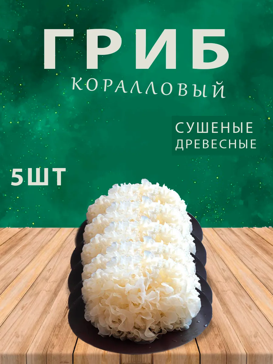 Грибы коралловые 5шт