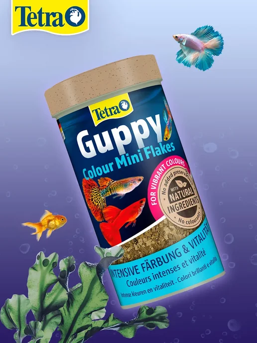 TETRA Корм для рыбок гуппи хлопья Guppy Colour Mini Flakes 250мл 2…, 250 мл, фото 3
