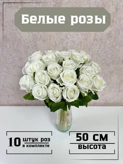 Вид 1.