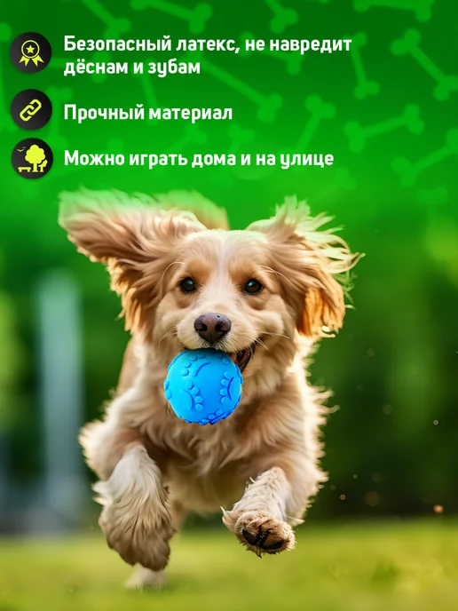 Tooth for tooth Набор игрушек для собак, голубой, фото 4