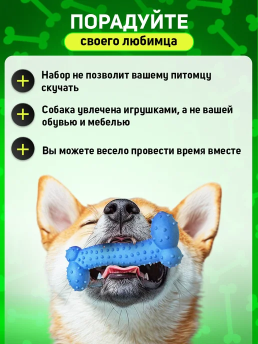 Tooth for tooth Набор игрушек для собак, голубой, фото 7