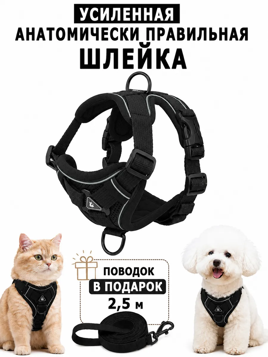 Шлейка для собак и кошек мелких и средних пород c поводком