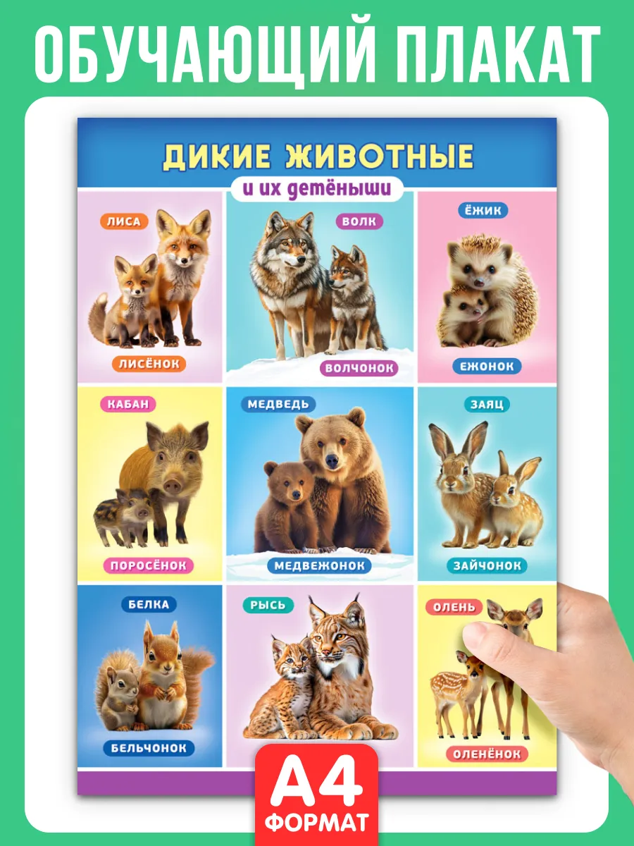 Обучающий плакат Дикие животные и их детеныши А4