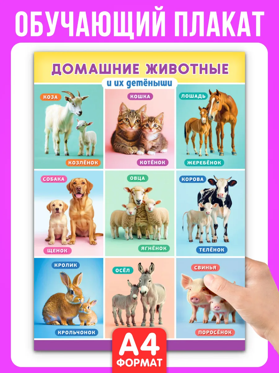 Обучающий плакат Домашние животные и их детеныши А4