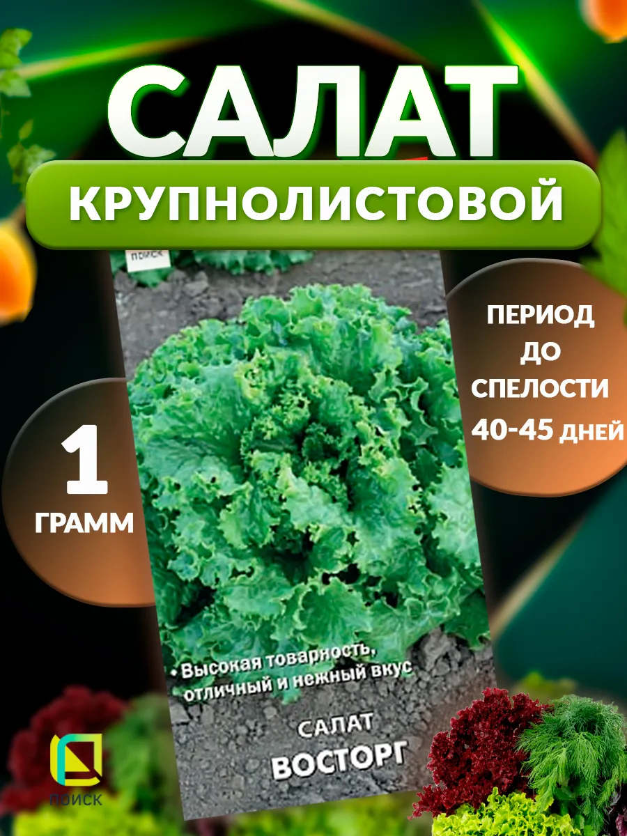 Салат Восторг